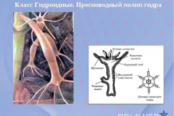 Интернет магазин блэкспрут как зайти в телефоне