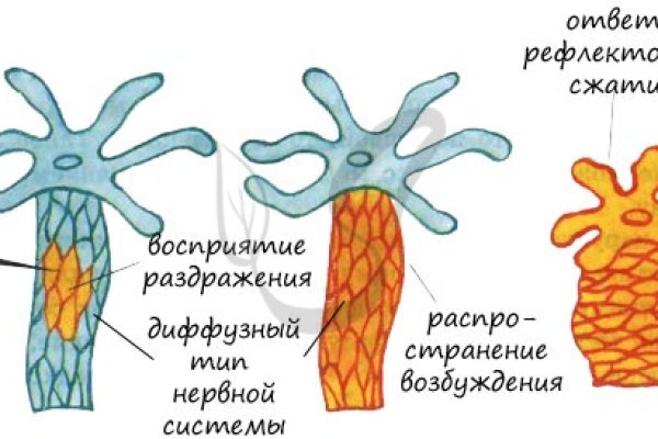 Кракен ссылка официальный анион kraken6.at kraken7.at kraken8.at